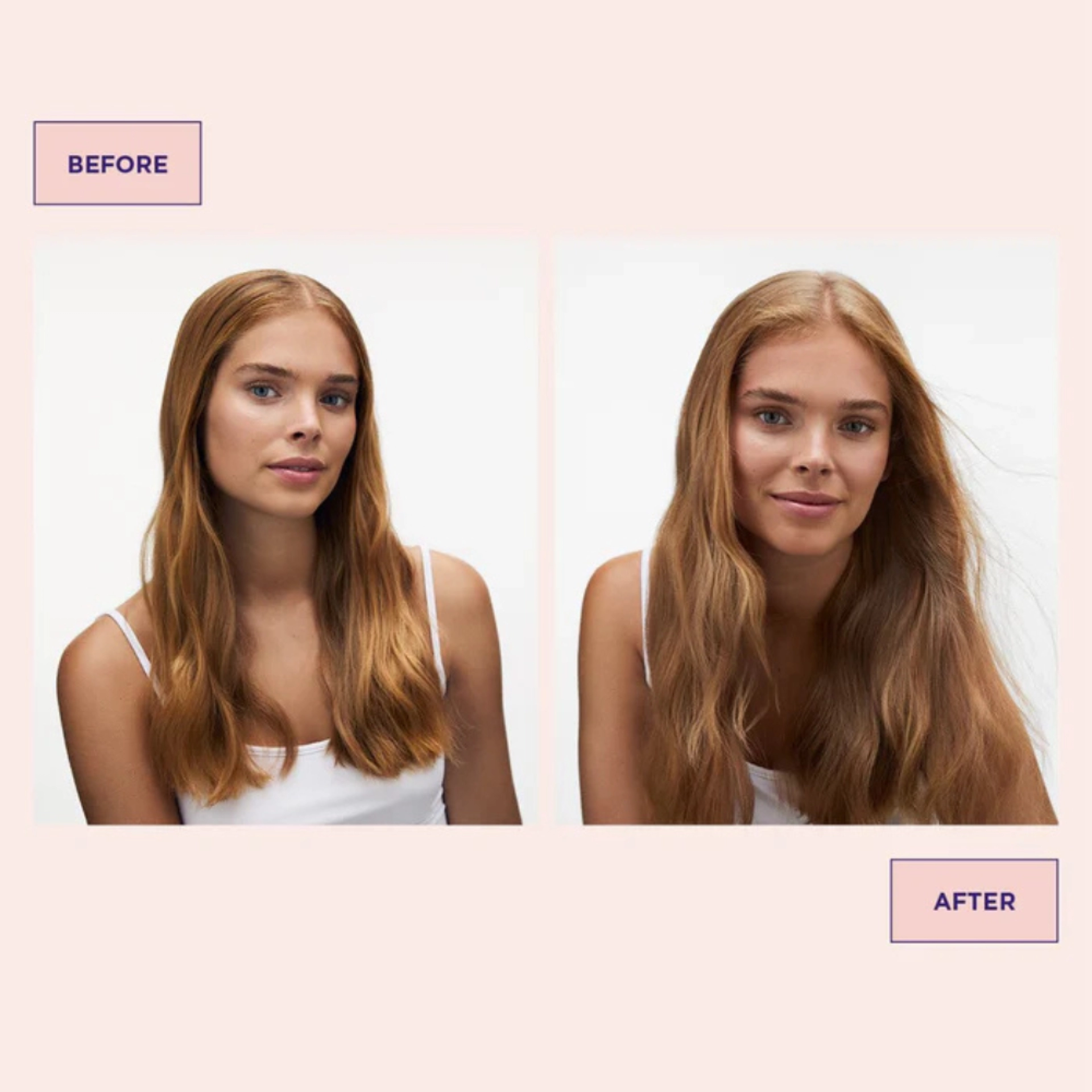 Cleansing Powder | Polvo Limpiador para Peinar 60gr - Maria Nila ®