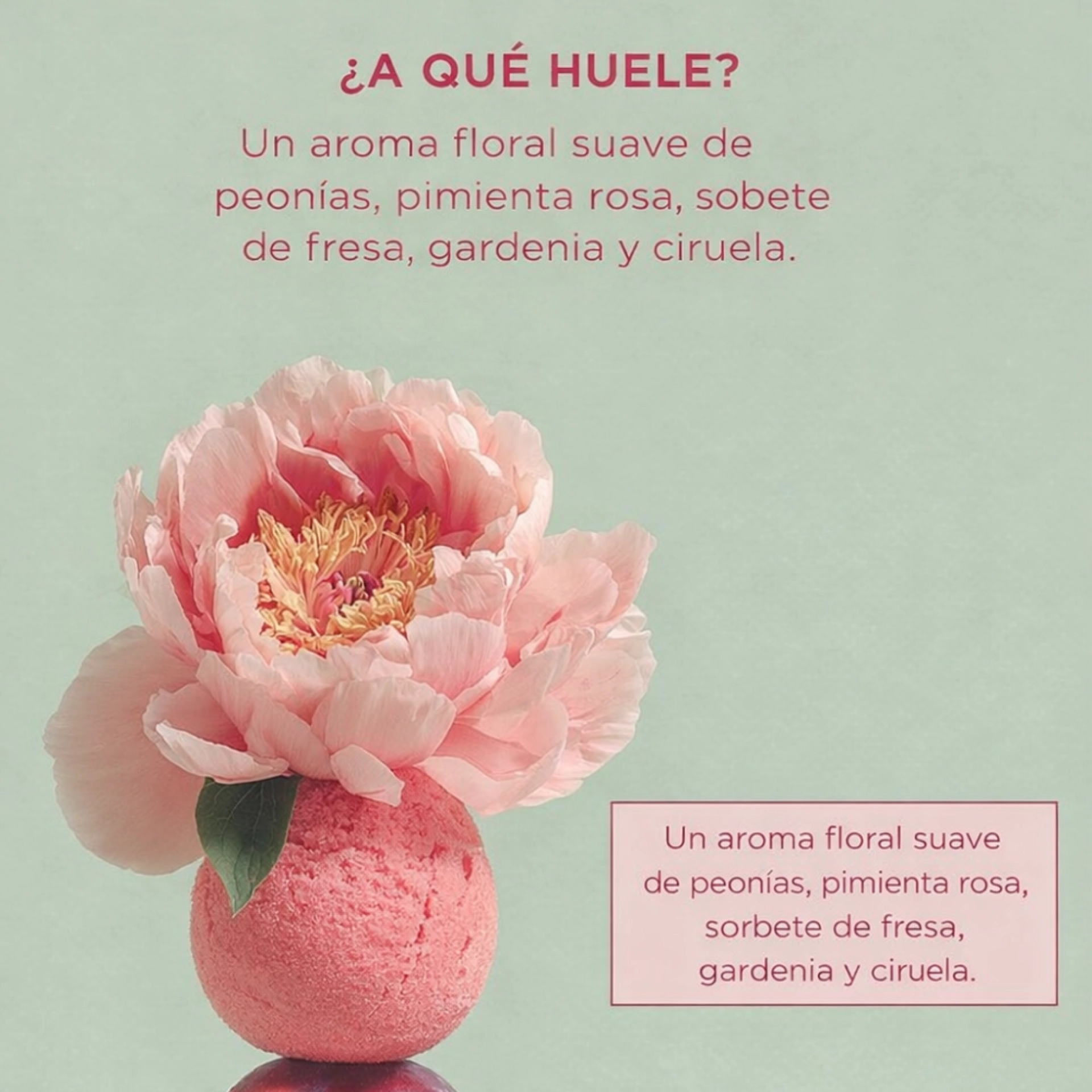 Floral Drift Fine Freagance Hair Mist | Bruma Capilar Floral Drift 100ml - S&F - Maria Nila ®