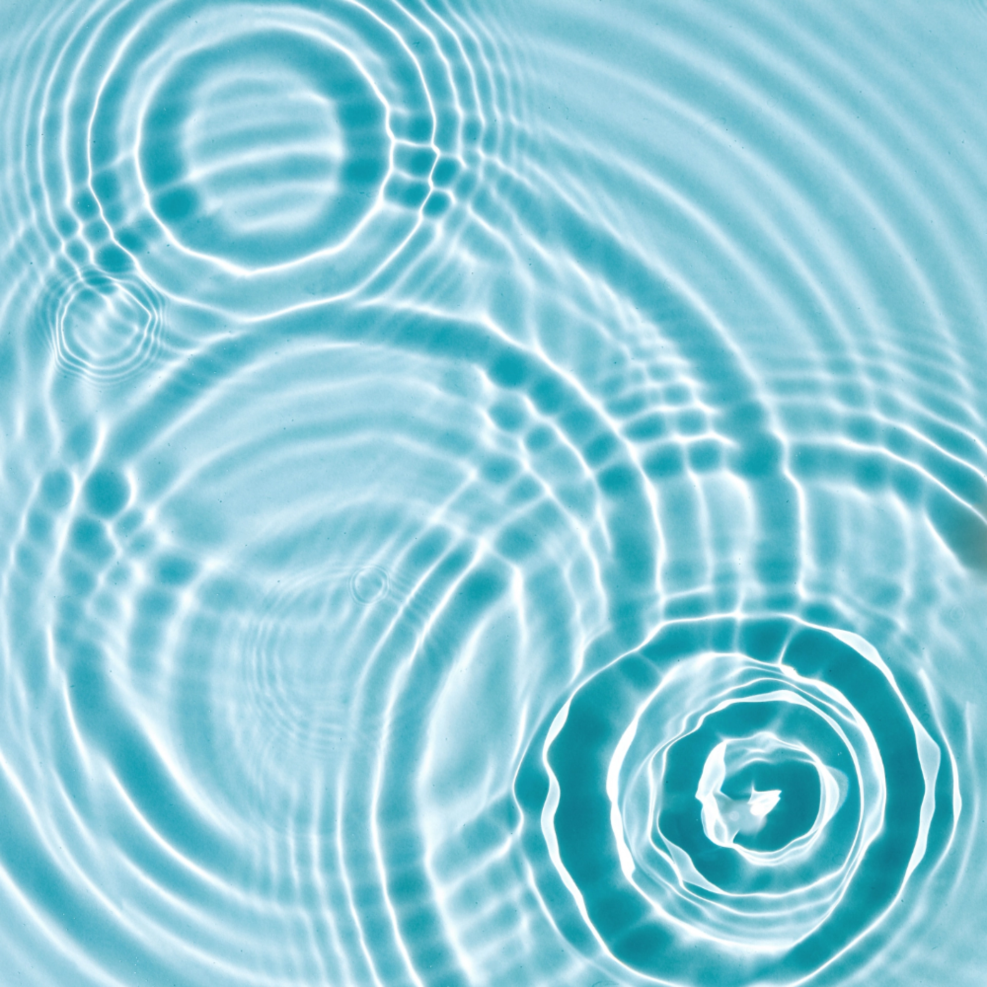 Fresh Cleansing Fluid | Fluido desmaquillante 250ml - Skin comfort - Bruno Vassari ®