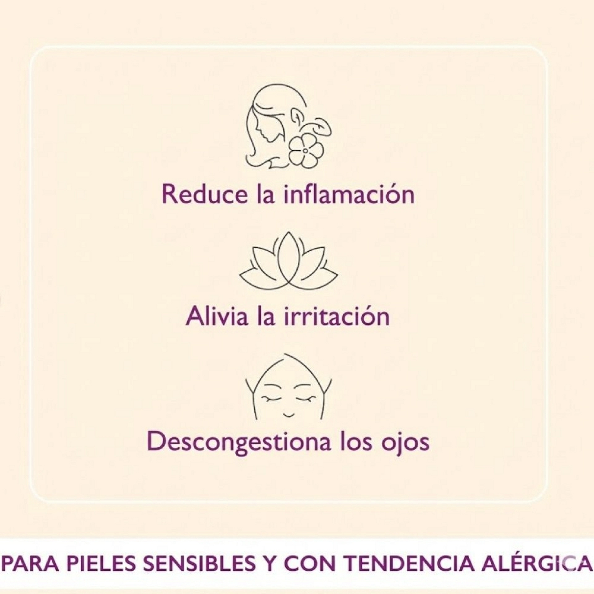 Manzanilla Romana | Agua floral descongestiva 100ml - Hidrolatos - Arôms Natur ®