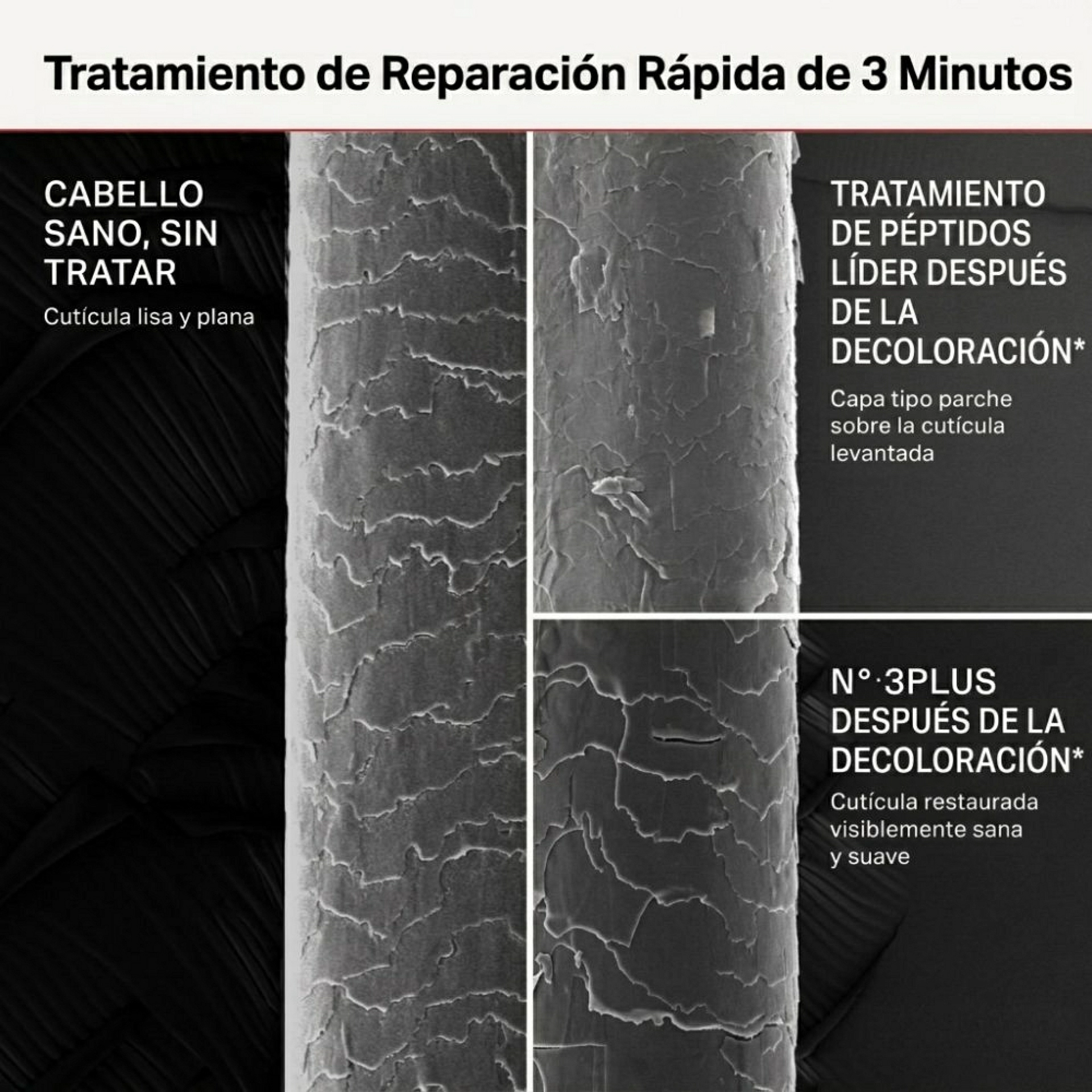 N°.3 PLUS Complete Repair Treatment | N°.3 PLUS Tratamiento Reparador Capilar – Olaplex ®