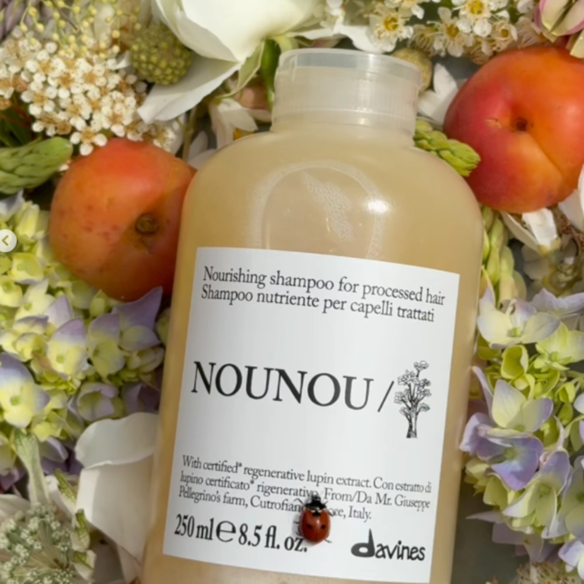 NOUNOU / Shampoo | Champú para pelo maltratado - Essential Haircare - Davines ®