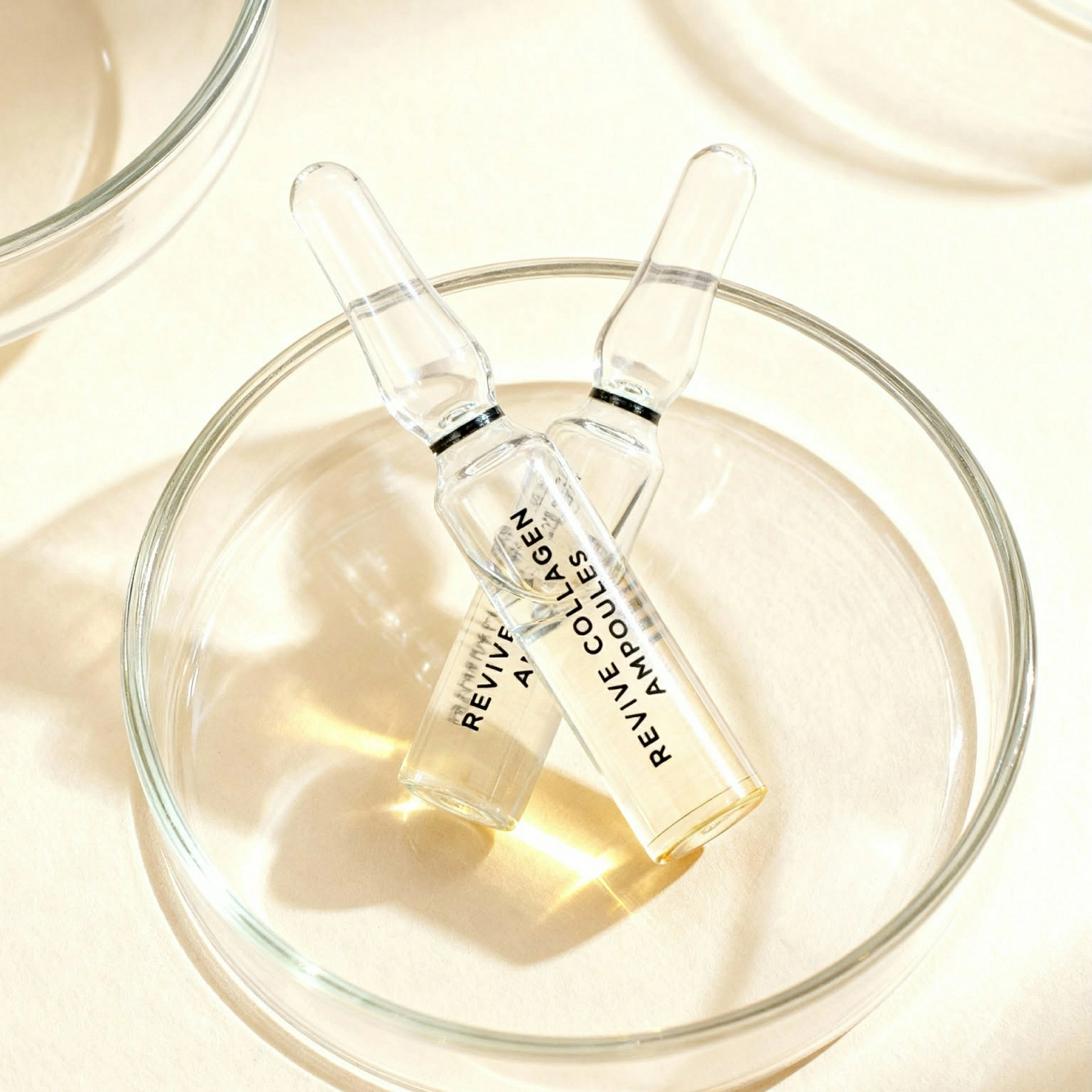 Revive Collagen Ampoules | Ampollas regeneradoras 10x2ml - Vital Age - Atache ®