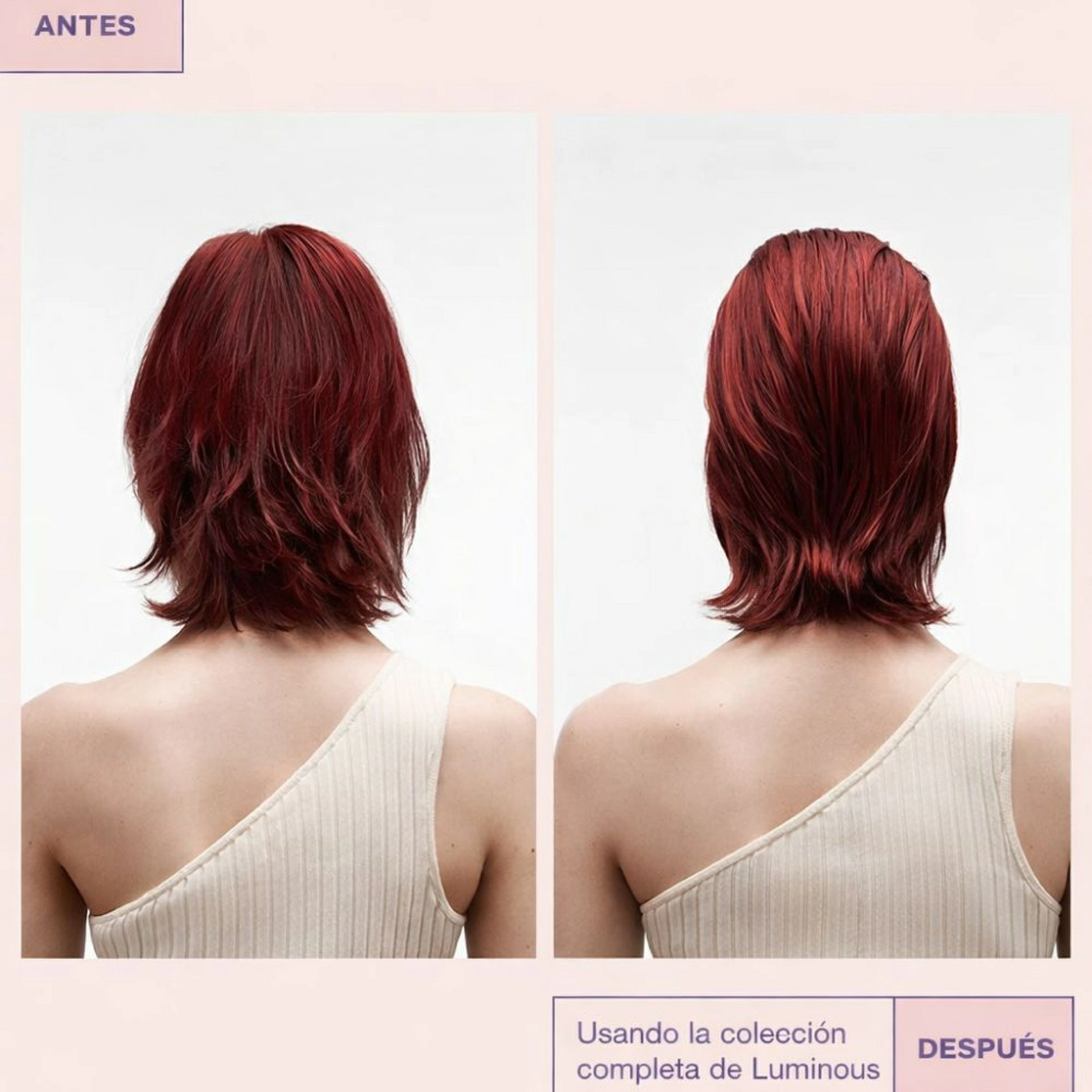 Shampoo Luminous Colour | Champú Protector de Color - Maria Nila ®